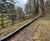 ACO Safeguards Frog and Toad Migratory Paths with One-Way Fencing 0