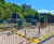 Colloide’s Advance Delivery Model for 154 Dosing Rigs - Severn Trent Water 1