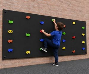 Large Value Climbing Boards - recycled plastic wall climbing panel for play