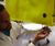 Filter press and filter pump engineering services 6