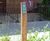 New interactive and wildlife features for Amhurst Road in Hackney 7