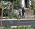 New interactive and wildlife features for Amhurst Road in Hackney 3