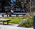 King Street, Blackpool - Modular seating for town centre regeneration 3