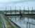 Scraper & Picket Fence Thickener - steel tank sludge removal system 2