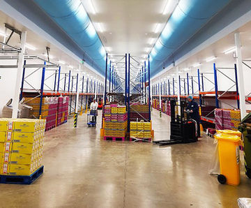 Uniform air movement and distribution for egg processing