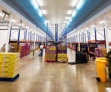 Uniform air movement and distribution for egg processing