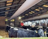 Replacement fabric ducting for cattle barn - on this page