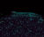 CORE GLOW - eco-friendly glow-in-the-dark aggregates 6
