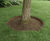 CORE TREE RING - landscape edging 0