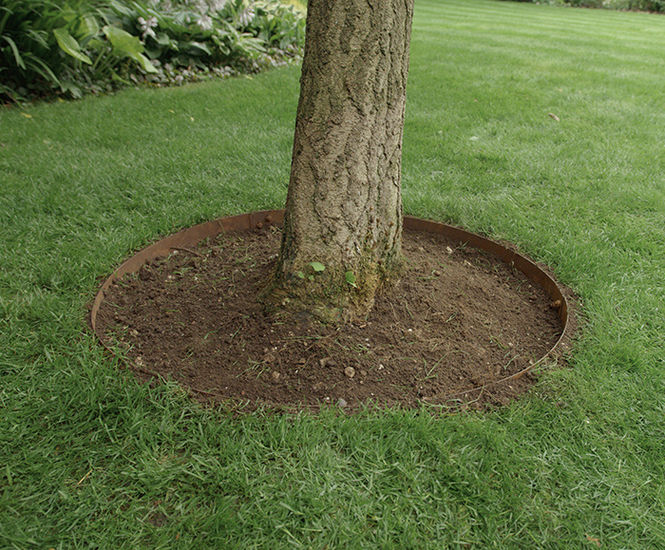 CORE TREE RING - landscape edging