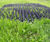 CORE Grass Rubber Grass & Ground Protection Mats - rubber safety matting 0