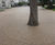 Permeable resin bound surfacing - Middle Temple Gardens 6