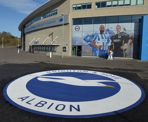 Resin bound giant Seagull crest for B&H Albion FC