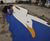 Resin bound giant Seagull crest for B&H Albion FC 4