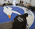 Resin bound giant Seagull crest for B&H Albion FC 5