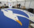 Resin bound giant Seagull crest for B&H Albion FC 6