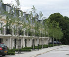 Open-ground trees