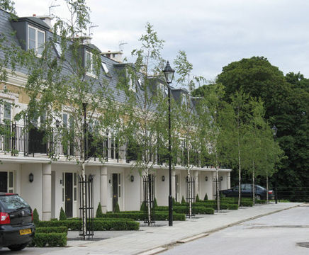 Open-ground trees