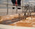 Activated sludge treatment for industrial effluent 0