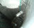 Copa® Cyclone self-cleaning storm screen 4