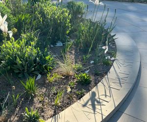 Delivering irrigation for Queen Elizabeth II memorial garden