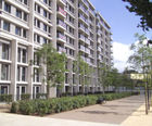 Soft and hard landscape creation services