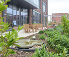 Soft landscaping services