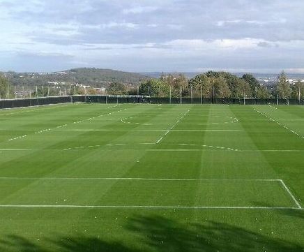 Mixto reinforced natural grass sports surface system