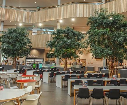 Commercial interior landscaping services