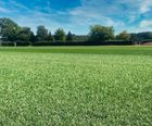 Mixto - blended natural and artificial sports turf