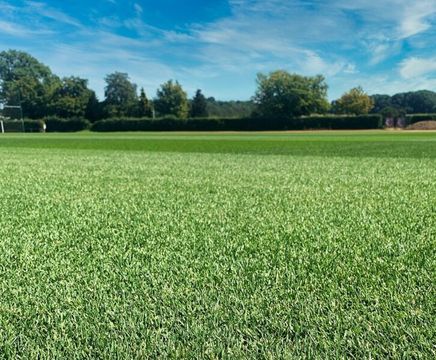 Mixto - blended natural and artificial sports turf