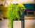 Oakley Planter Stand - metal indoor plant holder for 300mm cube pots 4