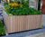 TREE planter 5
