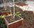 TREE planter 6