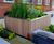 TREE planter 2