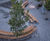 Bespoke extra-long picnic tables for Tournai, Belgium 3