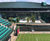 Tree planters and bespoke planters for Wimbledon 0