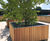 Tree planters and bespoke planters for Wimbledon 2
