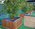 Tree planters and bespoke planters for Wimbledon 4