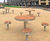 TREE table 4