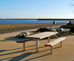 SCROLL FSC timber and metal picnic table and benches