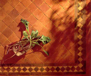 Handmade terracotta floor tiles