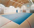 Marmoleum® Sport linoleum flooring