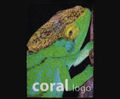 Coral Logo Entrance Flooring