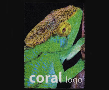 Coral Logo Entrance Flooring