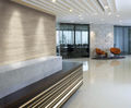 TrueScale high pressure laminate with no repeat pattern