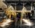 Dry plaza fountain, Greater Williamson Square, Liverpool 4