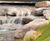 Lakes, streams and cascade fountains - Eurocentral 11