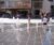 Dry plaza water feature - Lyric Square, Hammersmith 4