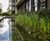 Eleven water features for Riverlight development 2